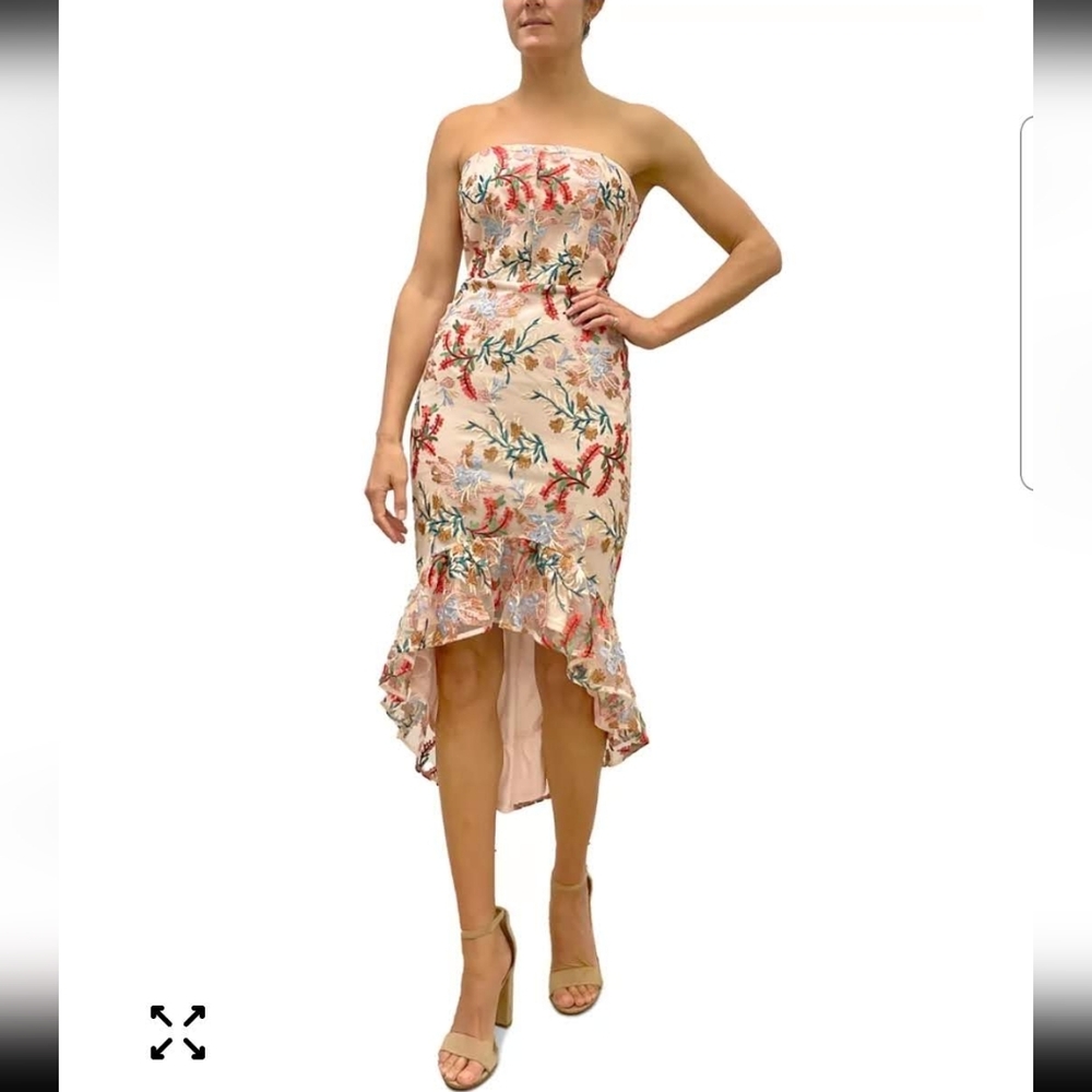 Sam Edelman Pink Embroidered Strapless Hi-Low Dress Size 4 NWT